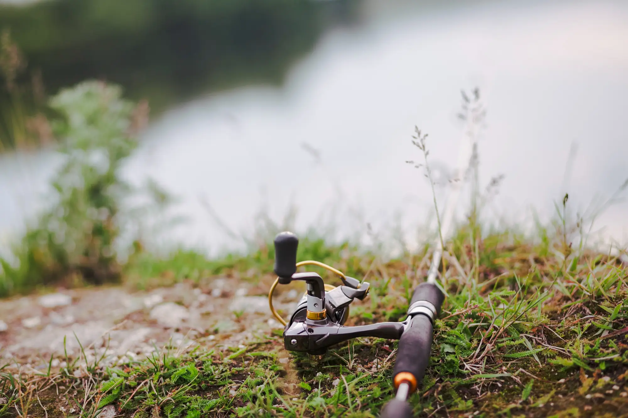 Pesca fly fishing - alojamiento en centro turistico muscaria en malalcahuello