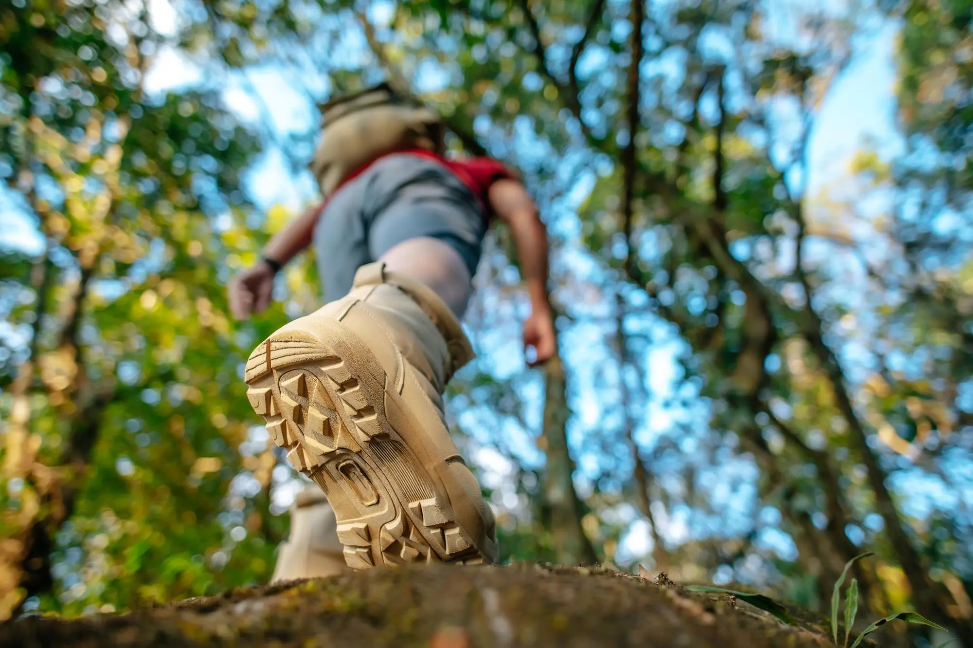 Trekking y Senderismo - alojamiento en centro turistico muscaria en Malalcahuello